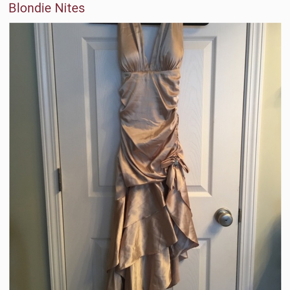 Blondie nites prom dress